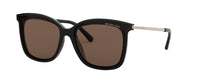 SHINY BLACK | GOLD - BROWN