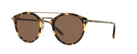 TORTOISE - BROWN