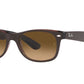 NEW WAYFARER MEDIUM