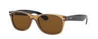 TRANSPARENT HONEY FRONT | BLACK TEMPLES - BROWN - POLARIZED