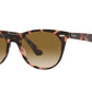 WAYFARER II