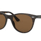 WAYFARER II