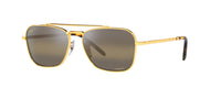 GOLD - BROWN MIRROR | CHROMANCE - POLARIZED