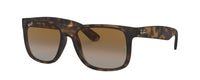 RUBBER HAVANA - GRADIENT BROWN - POLARIZED