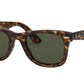 WAYFARER