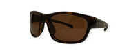 TORTOISE - GREY - POLARIZED