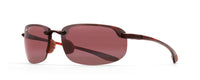 TORTOISE - MAUI ROSE - POLARIZED