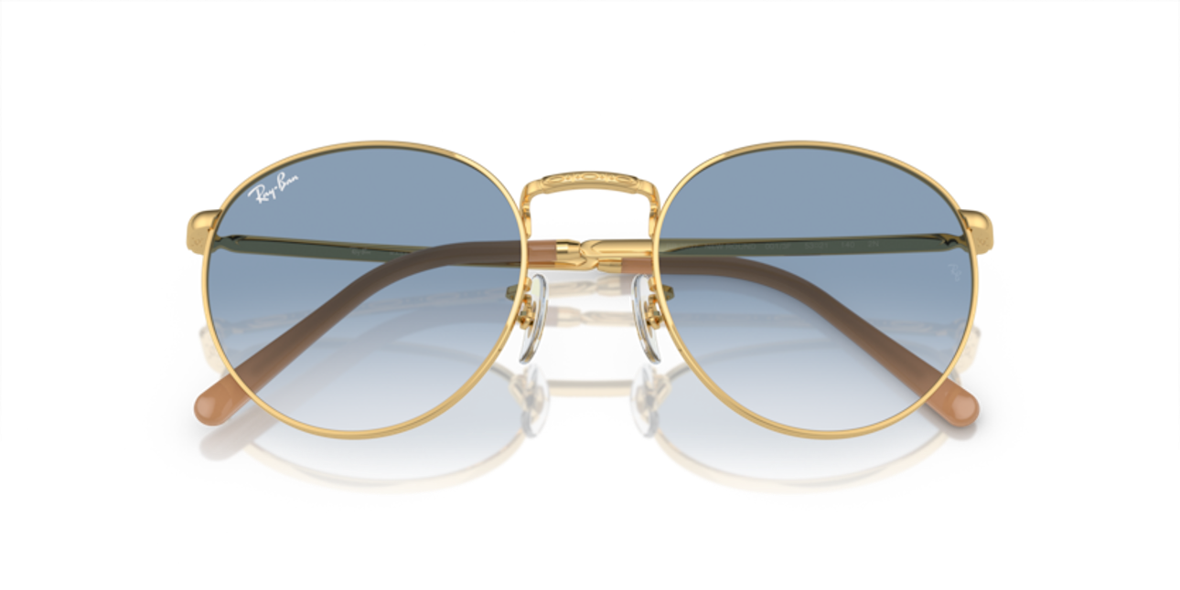 376_RAYBANPIC3.png