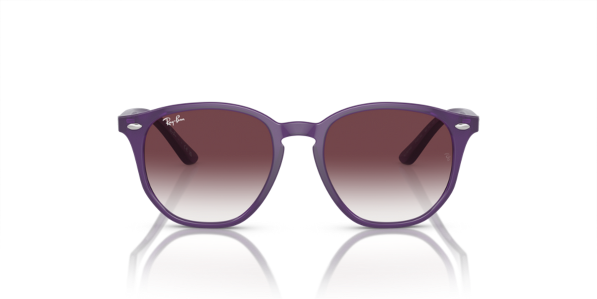 419_RAYBANPIC2.png