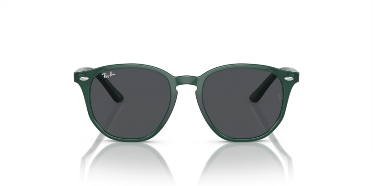 423_RAYBANPIC2.png