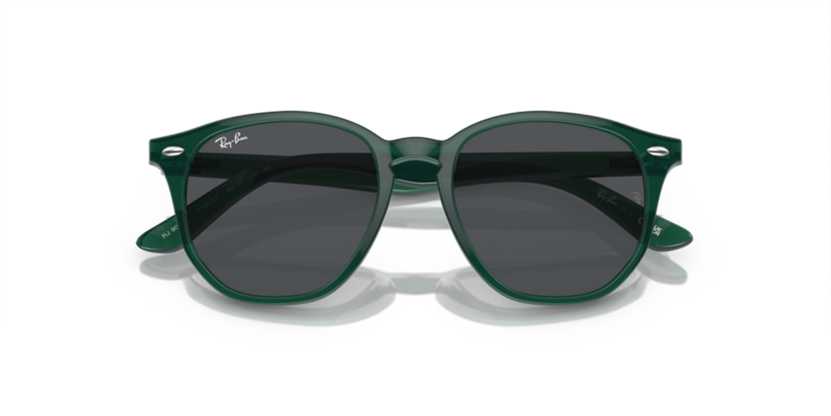 423_RAYBANPIC3.png