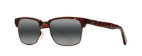 TORTOISE | ANTIQUE GOLD - NEUTRAL GREY - POLARIZED