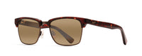 TORTOISE | ANTIQUE GOLD - HCL BRONZE - POLARIZED