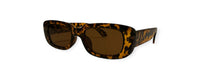 TORTOISE - BROWN